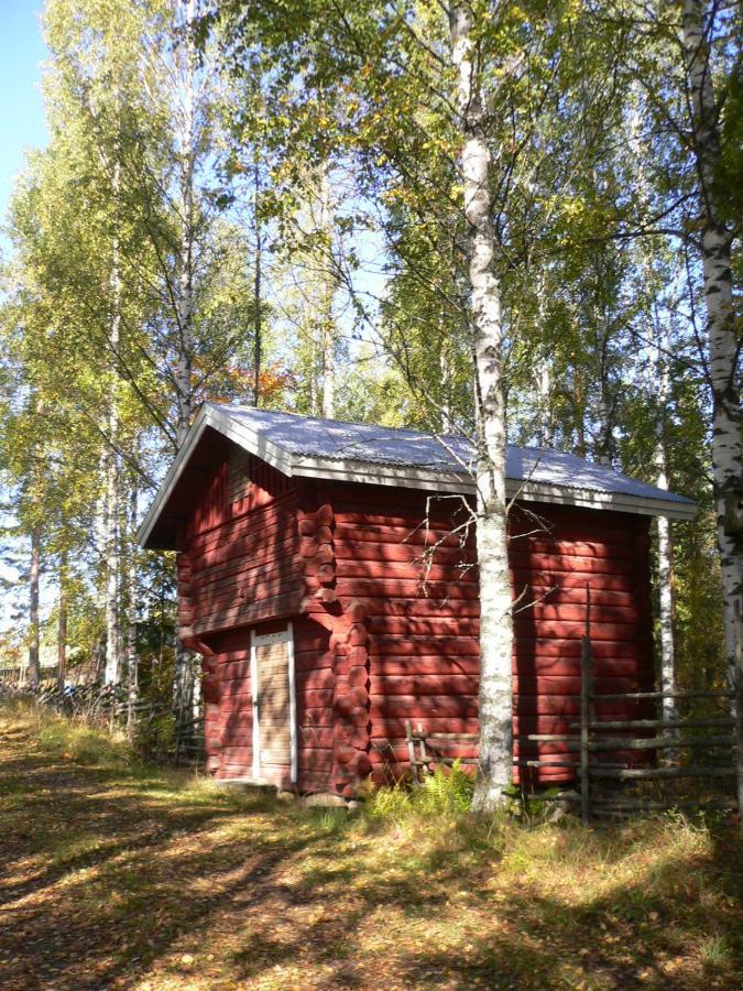 Vanha-Paelsilae Lakeside Farm Kuhmoinen Exterior foto